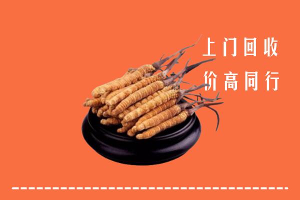高价求购：德州回收散虫草