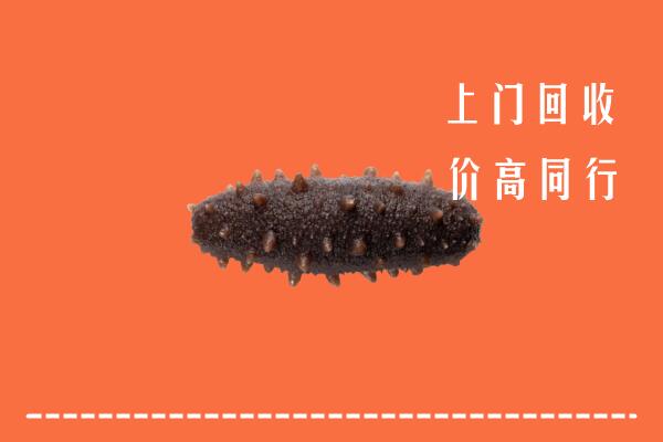 高价求购：德州回收海参