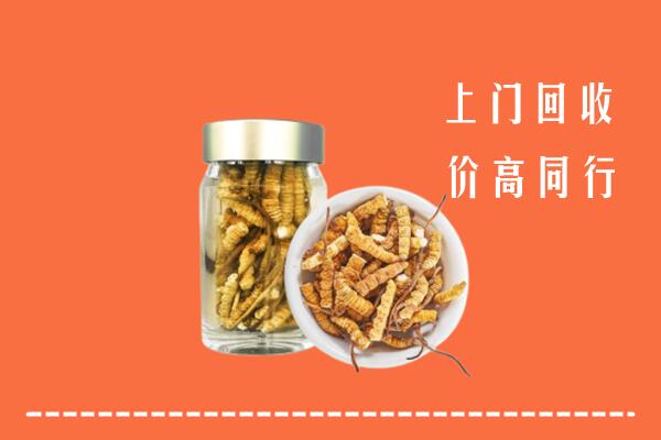 德州回收冬虫夏草
